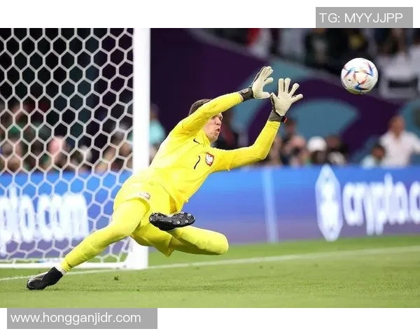 全球十大弧形进球足球球星精彩瞬间回顾 他们的弯道射门技惊四座